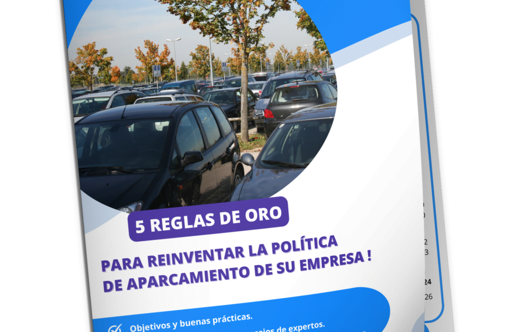 Política de aparcamiento – Libro blanco