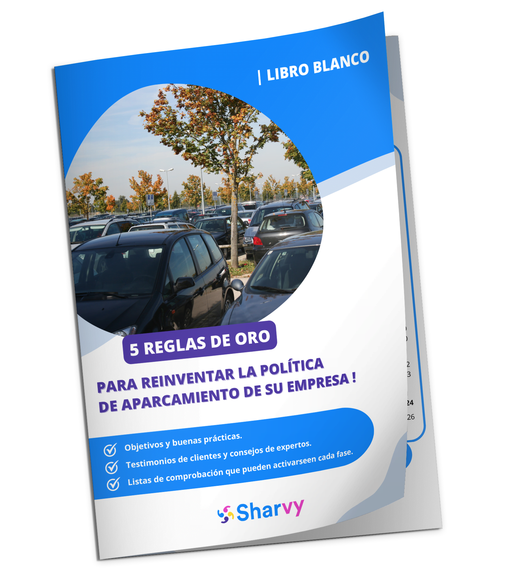 es-libro-blanco-politica-de-aparcamiento-sharvy