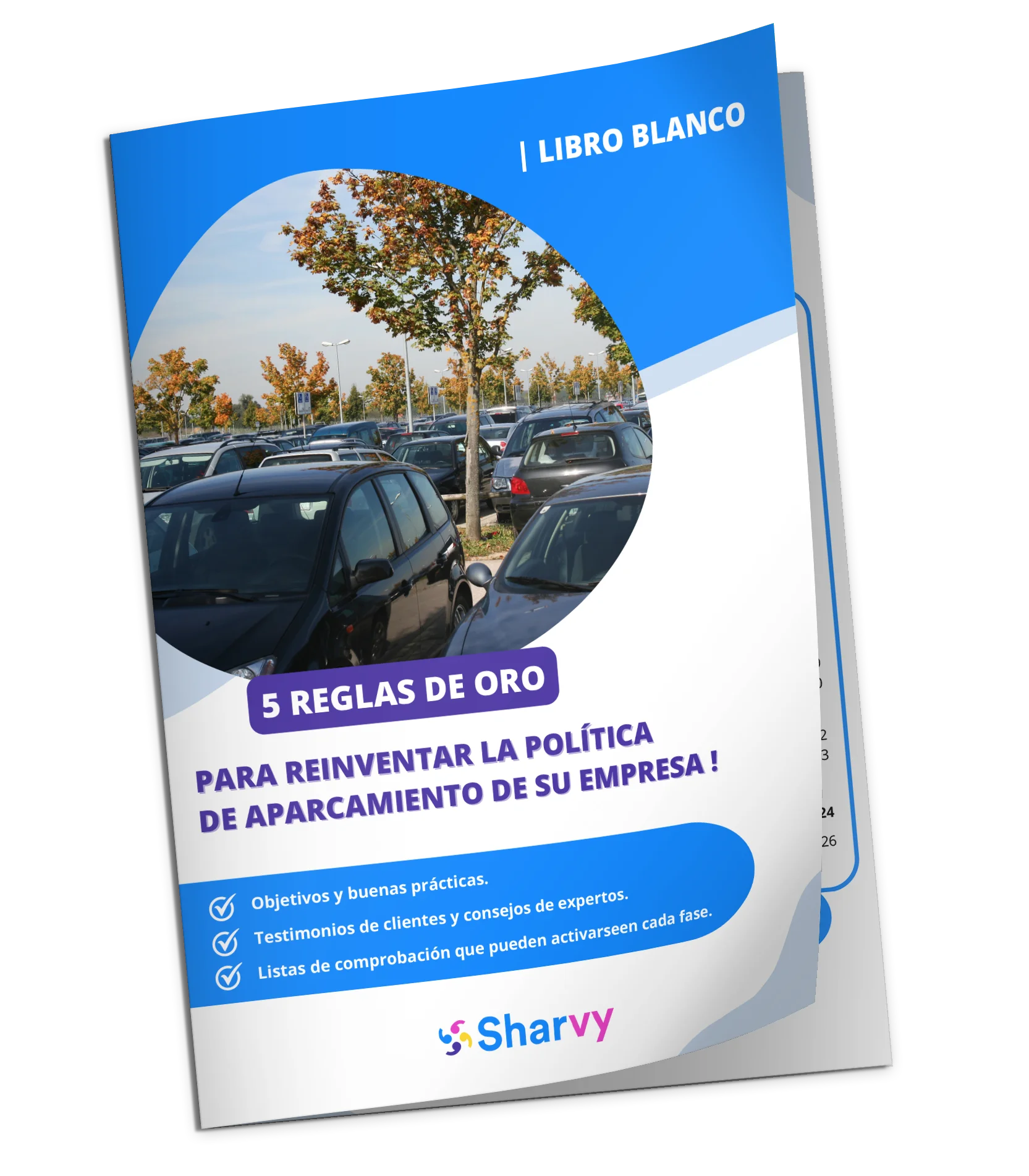 es-libro-blanco-politica-de-aparcamiento-sharvy