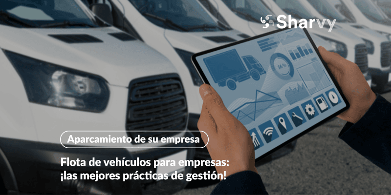Flota-de-vehiculos-para-empresas