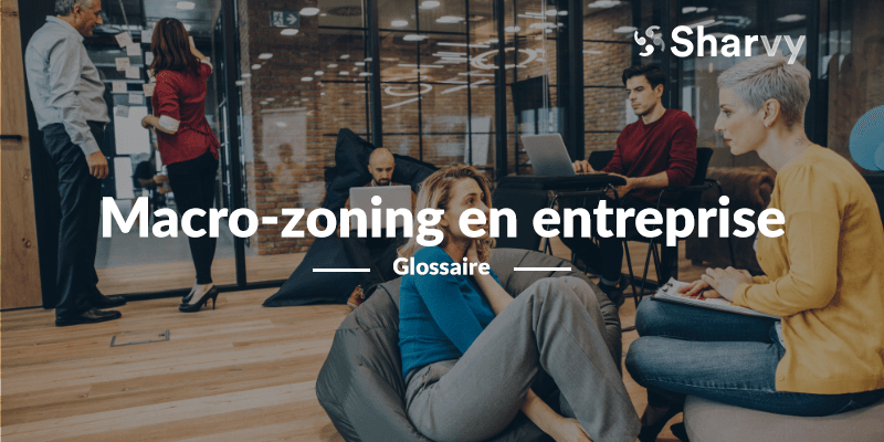 macro-zoning-entreprise